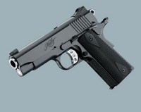 Pro TLE II.jpg